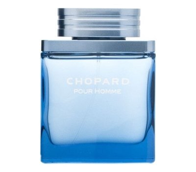 Chopard Pour Homme 104067