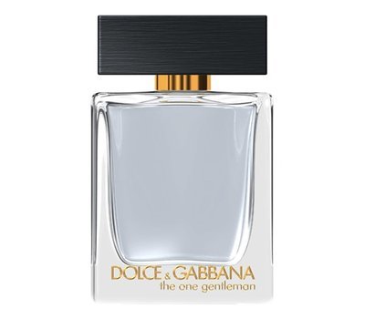 Dolce Gabbana (D&G) The One Gentleman