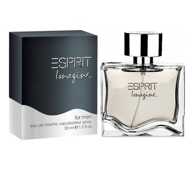 Esprit Imagine men 107645