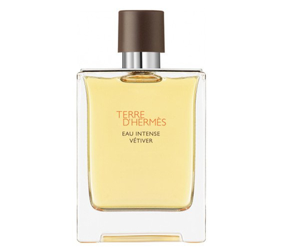 Hermes Terre D'Hermes Eau Intense Vetiver 139594