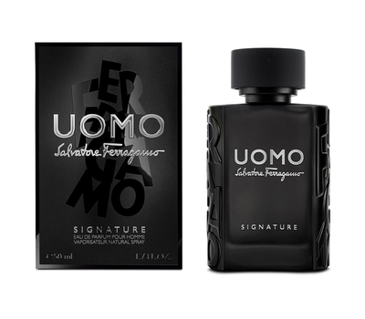 Salvatore Ferragamo Uomo Signature 142518