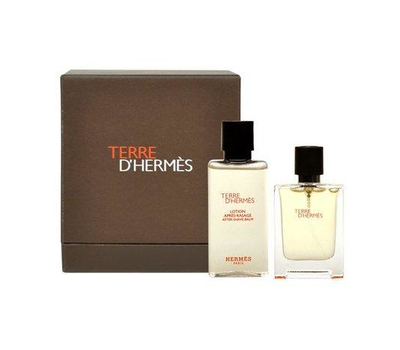 Hermes Terre D'Hermes pour homme 151667