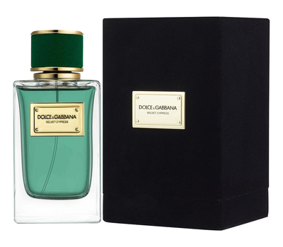 Dolce Gabbana (D&G) Velvet Cypress 193843