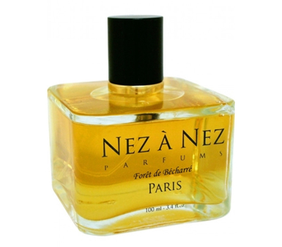 Nez a Nez Foret de Becharre 204405