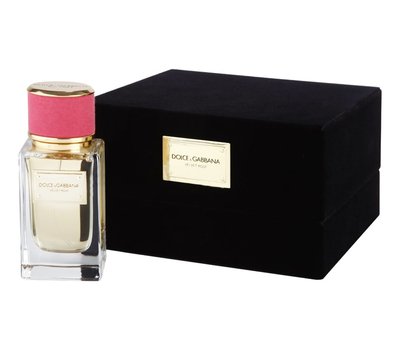 Dolce Gabbana (D&G) Velvet Rose 62566